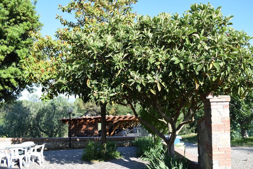 Agriturismo Amina, Winery & Hiking Vagliagli Buitenkant foto