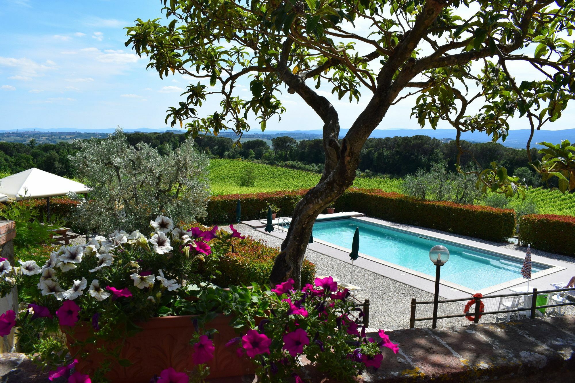 Agriturismo Amina, Winery & Hiking Vagliagli Buitenkant foto