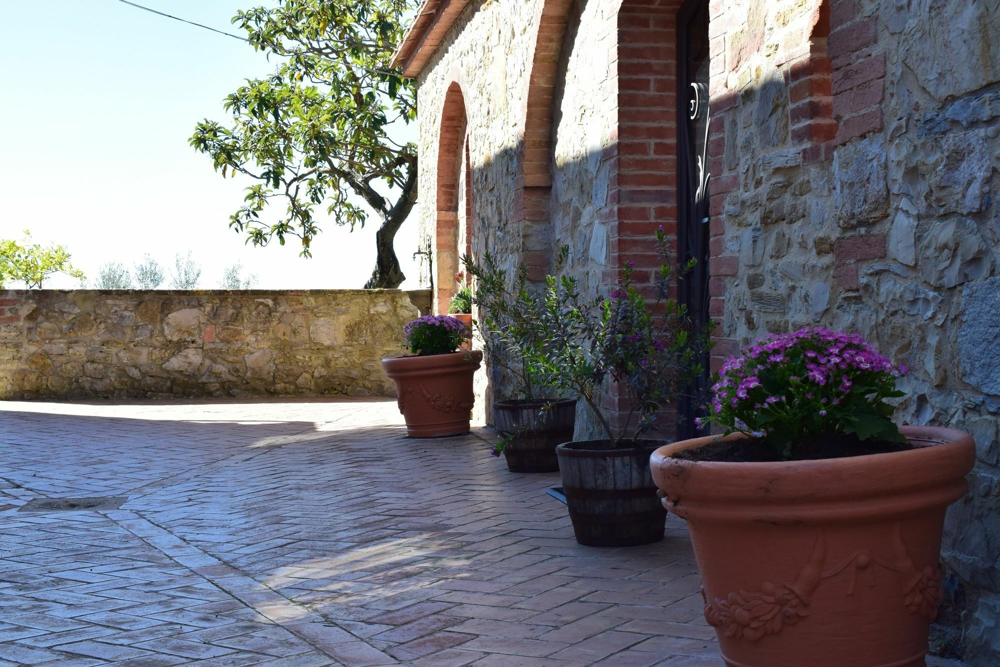 Agriturismo Amina, Winery & Hiking Vagliagli Buitenkant foto