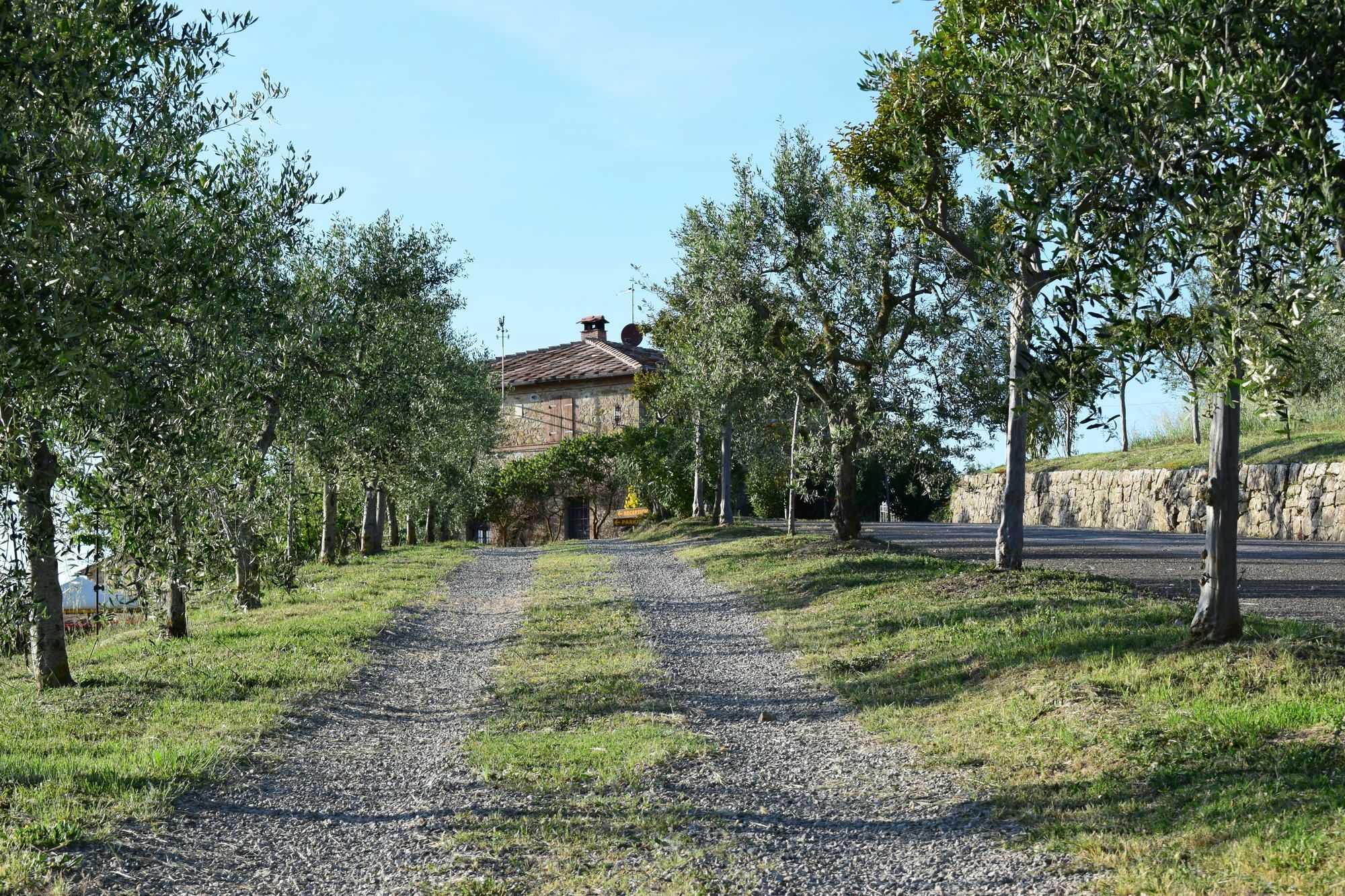 Agriturismo Amina, Winery & Hiking Vagliagli Buitenkant foto